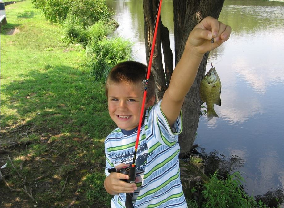 best fishing pole for kids-image from pixabay by GSquare