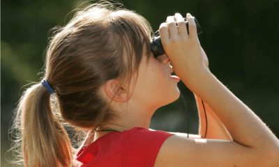 best binoculars for kids-image from pixabay by PublicDomain