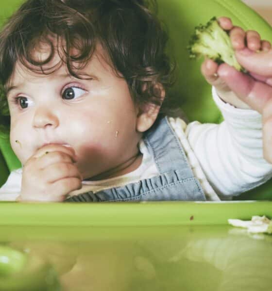 baby led weaning foods