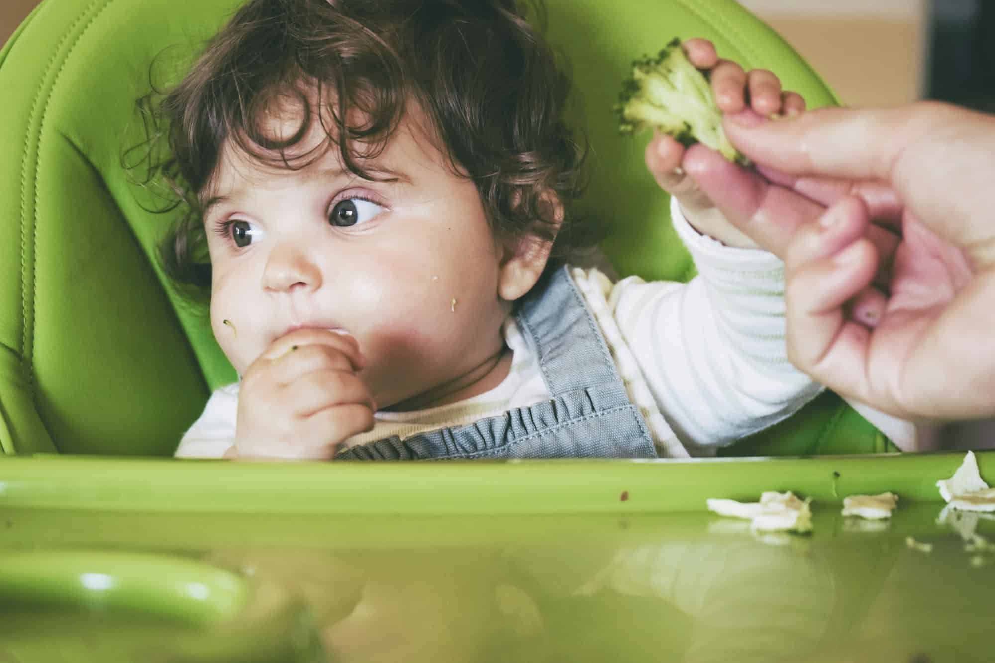 baby led weaning foods